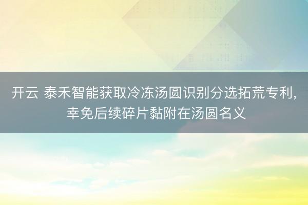 开云 泰禾智能获取冷冻汤圆识别分选拓荒专利, 幸免后续碎片黏附在汤圆名义